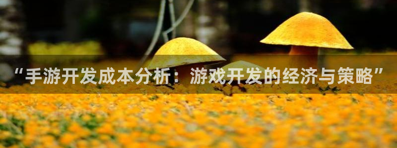 恩佐娱乐平台正规吗安全吗：“手游开发成本分析：游戏开发的经济