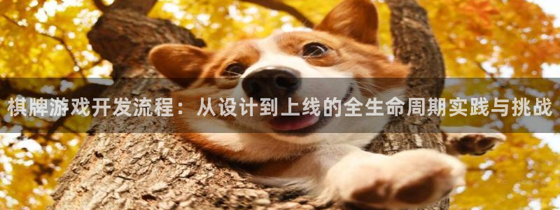 恩佐娱乐1：棋牌游戏开发流程：从设计到上线的全生命周期实践与