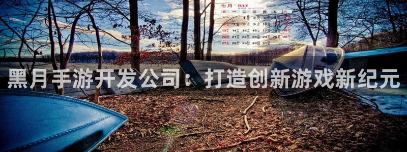 恩佐娱乐手机版最新功能介绍视频：黑月手游开发公司：打造创新游