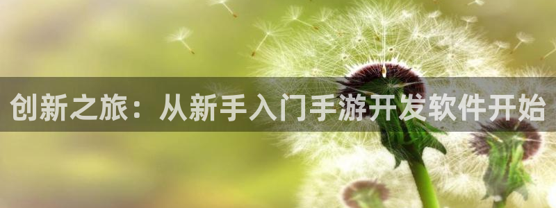 恩佐娱乐手机版最新功能介绍大全：创新之旅：从新手入门手游开发