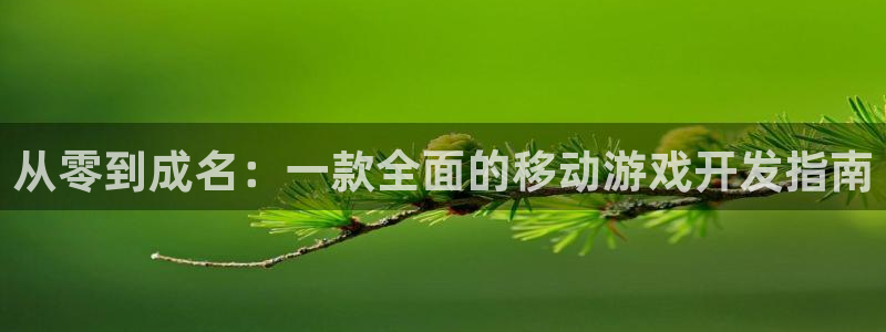 恩佐娱乐登陆：从零到成名：一款全面的移动游戏开发指南
