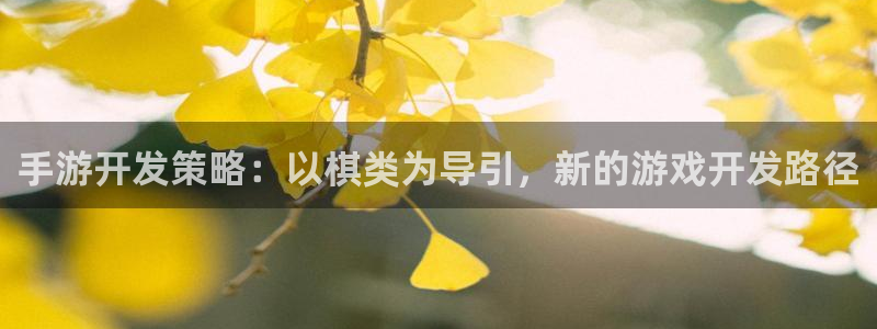 恩佐娱乐登陆：手游开发策略：以棋类为导引，新的游戏开发路径