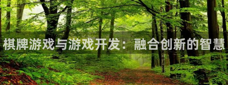 恩佐娱乐注册：棋牌游戏与游戏开发：融合创新的智慧