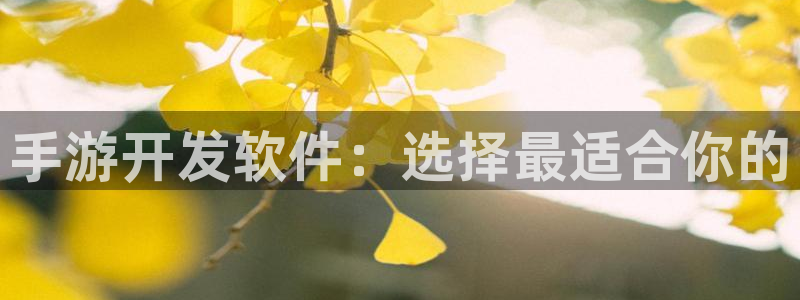 恩佐娱乐登陆：手游开发软件：选择最适合你的