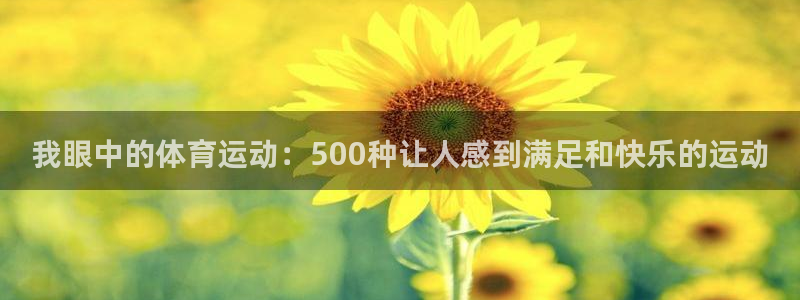 球客岛：我眼中的体育运动：500种让人感到满足和快乐的运动
