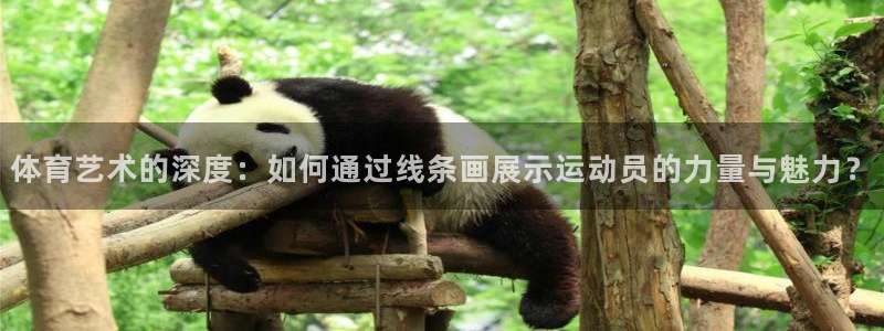 球客岛：体育艺术的深度：如何通过线条画展示运动员的力量与魅力？