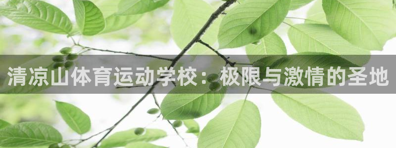 球客岛：清凉山体育运动学校：极限与激情的圣地