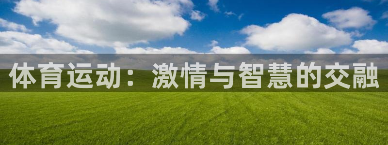球客岛：体育运动：激情与智慧的交融