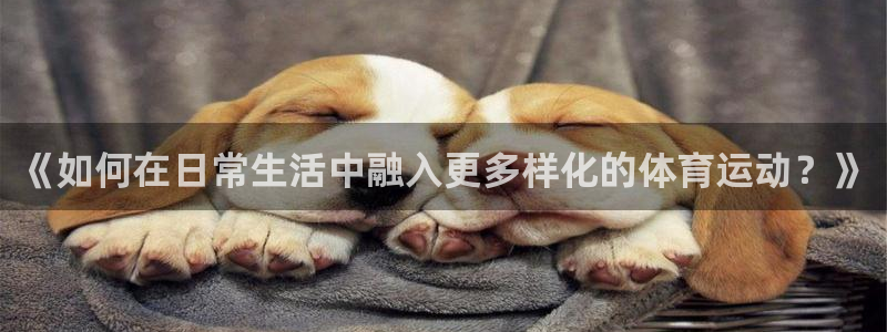 球客岛：《如何在日常生活中融入更多样化的体育运动？》