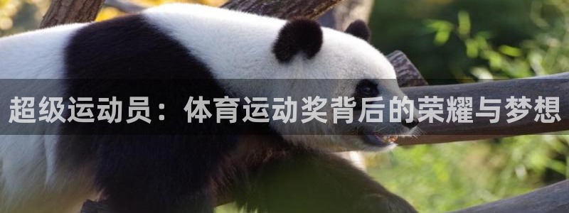 球客岛：超级运动员：体育运动奖背后的荣耀与梦想