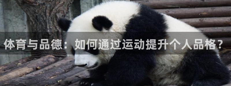球客岛：体育与品德：如何通过运动提升个人品格？