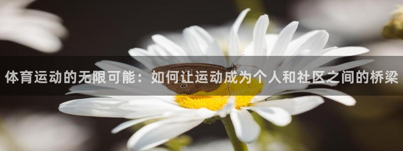 球客岛