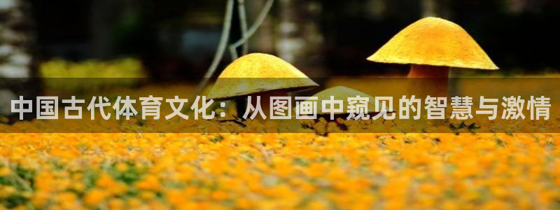 球客岛：中国古代体育文化：从图画中窥见的智慧与激情