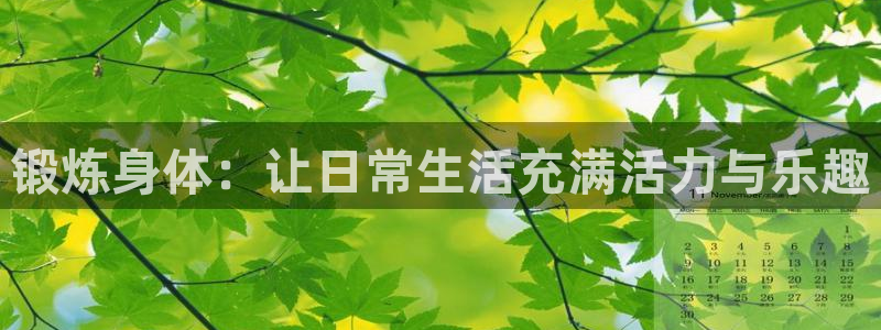 球客岛：锻炼身体：让日常生活充满活力与乐趣