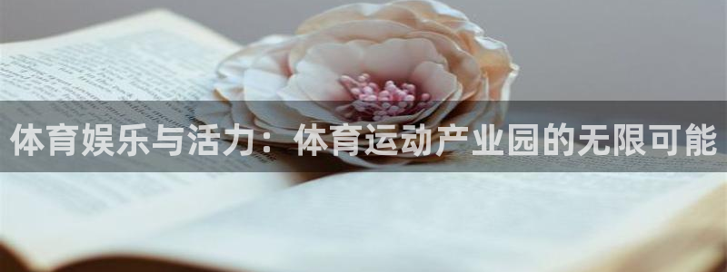 球客岛：体育娱乐与活力：体育运动产业园的无限可能