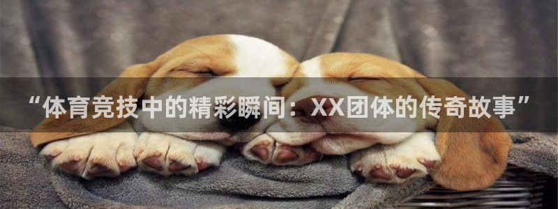 球客岛：“体育竞技中的精彩瞬间：XX团体的传奇故事”